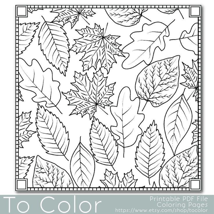 Beach Theme Coloring Pages at GetColorings.com | Free printable
