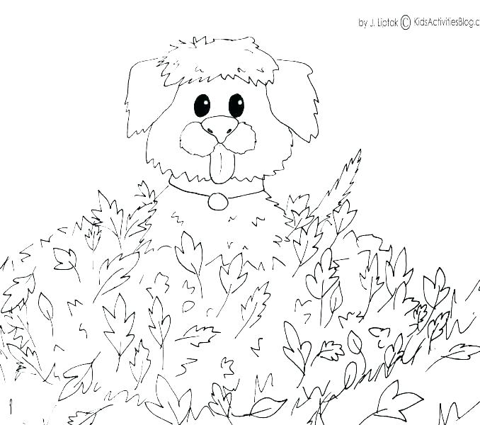 Fall Themed Coloring Pages at GetColoringscom Free