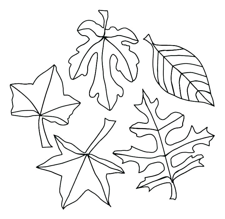 Fall Tree Coloring Pages at GetColorings.com | Free printable colorings