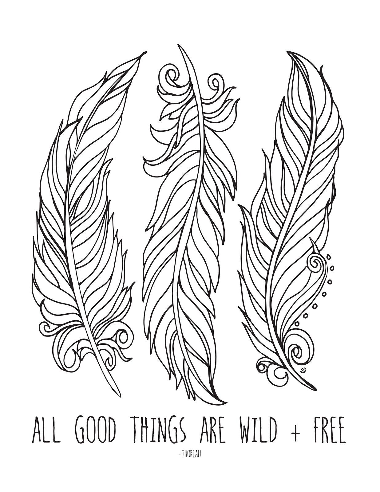 Feather Coloring Pages at Free printable colorings