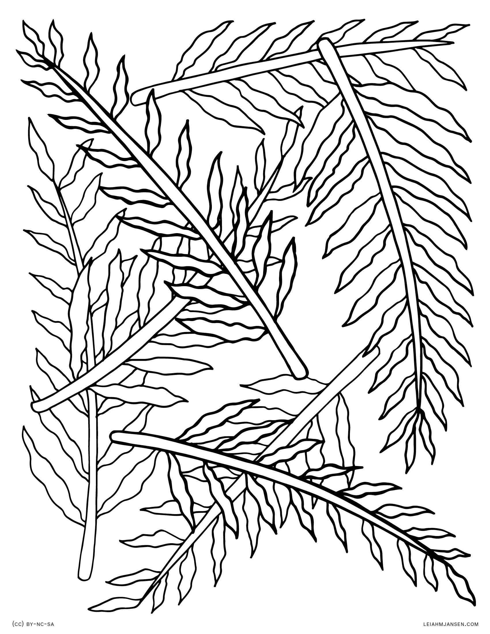 Fern Coloring Page at GetColorings.com | Free printable colorings pages