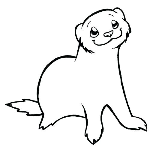 Ferret Coloring Pages at GetColorings.com | Free printable colorings