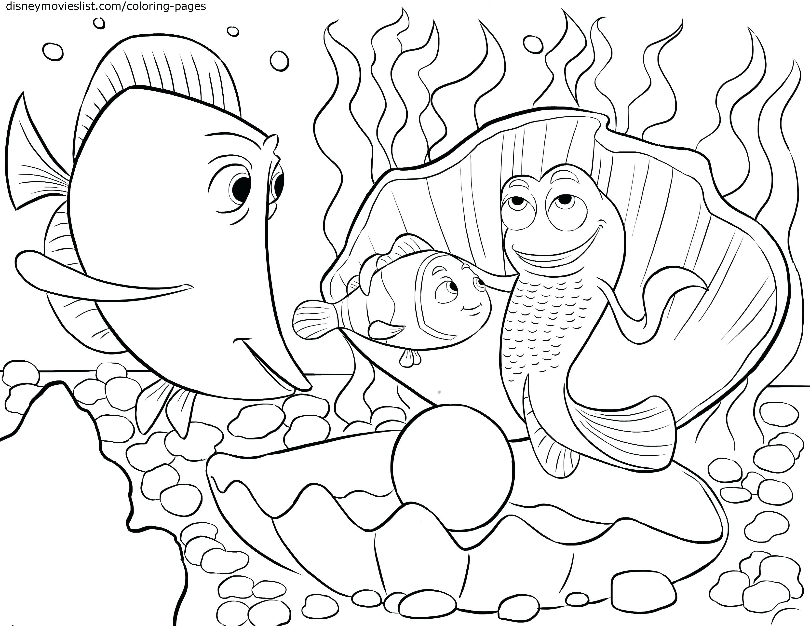 Ferret Coloring Pages at GetColorings.com | Free printable colorings