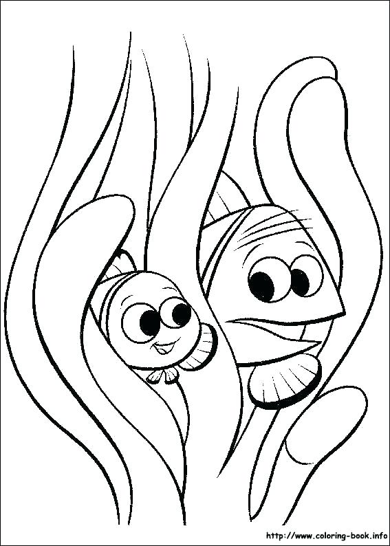 Finding Nemo Squirt Coloring Pages at GetColorings.com | Free printable