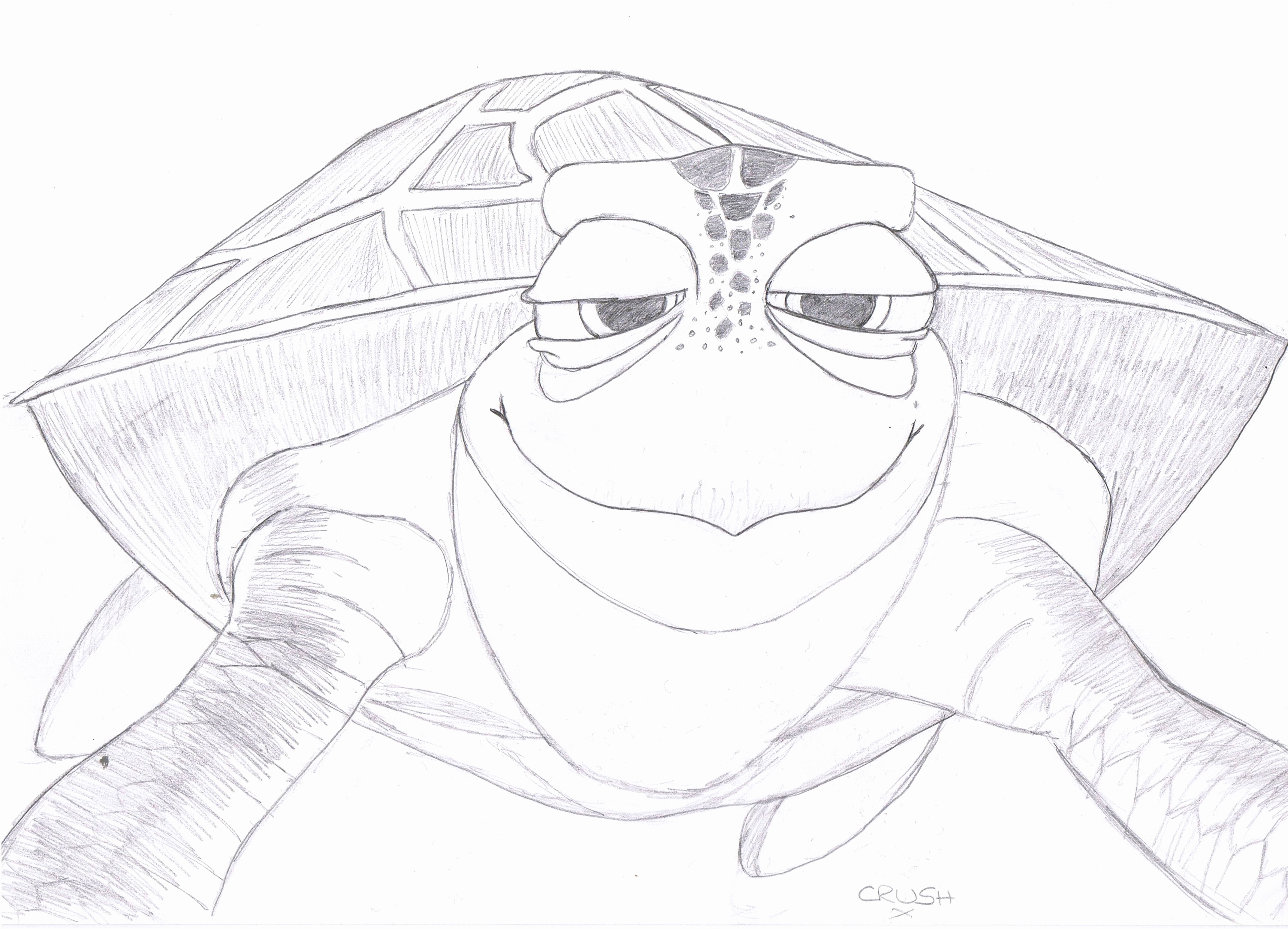 Finding Nemo Turtle Coloring Pages At GetColorings Free Printable 