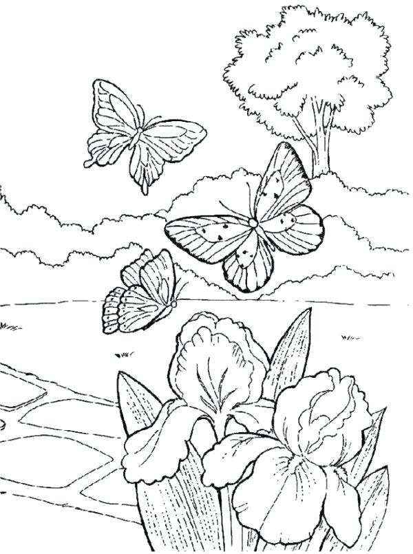 First Day Of Spring Coloring Pages at GetColorings.com | Free printable