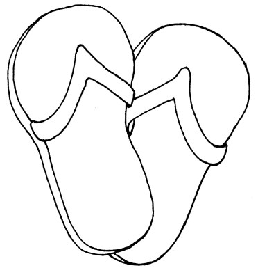 372x385 Flip Flop Coloring Pages 12 Coloring Pages Of Flip Flop Print