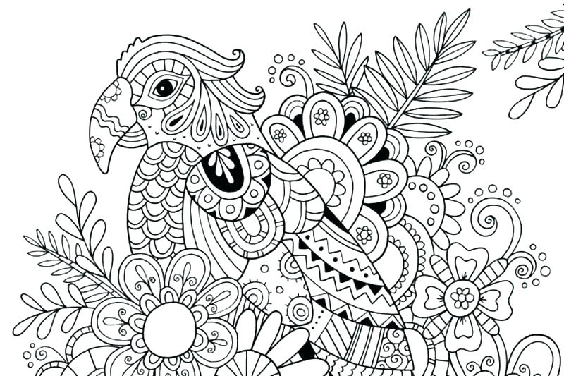 800x533 Flip Flop Coloring Page Coloring Pages Of Butterflies For Adults