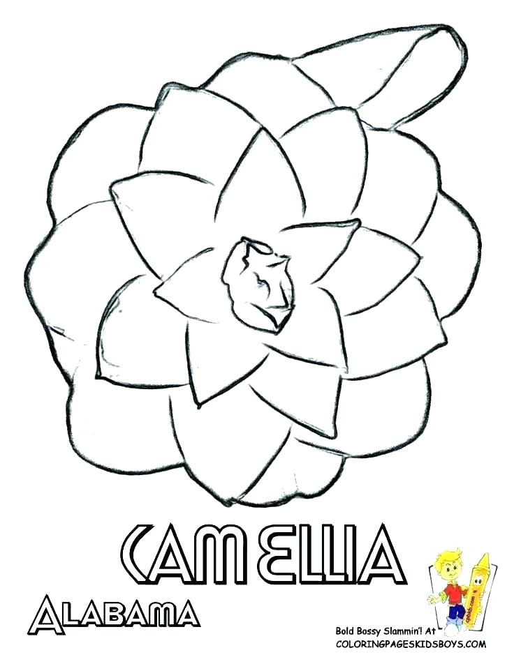 Florida State Coloring Pages at GetColorings.com  Free printable