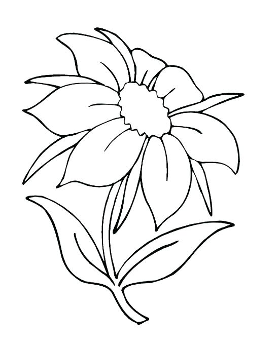 Flower Border Coloring Pages at Free printable