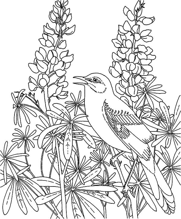 Flower Garden Coloring Pages Printable at GetColoringscom