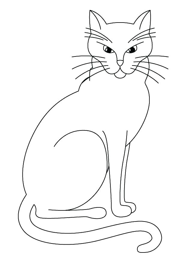 Fluffy Cat Coloring Pages at GetColorings.com | Free printable