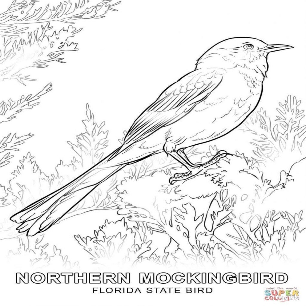Flying Bird Coloring Pages at GetColorings.com | Free printable