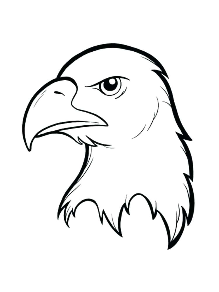 Flying Eagle Coloring Page at GetColorings.com | Free printable