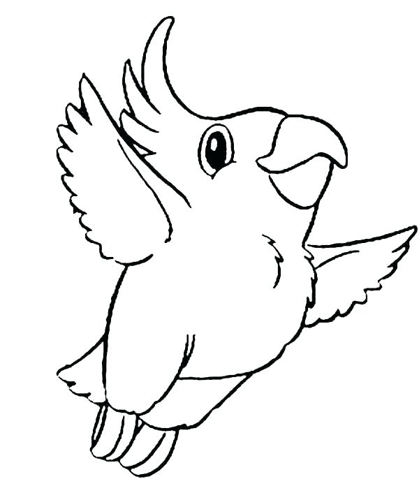 841 Simple Flying Parrot Coloring Pages with disney character