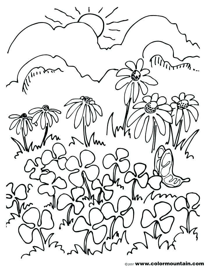 Football Field Coloring Page at Free