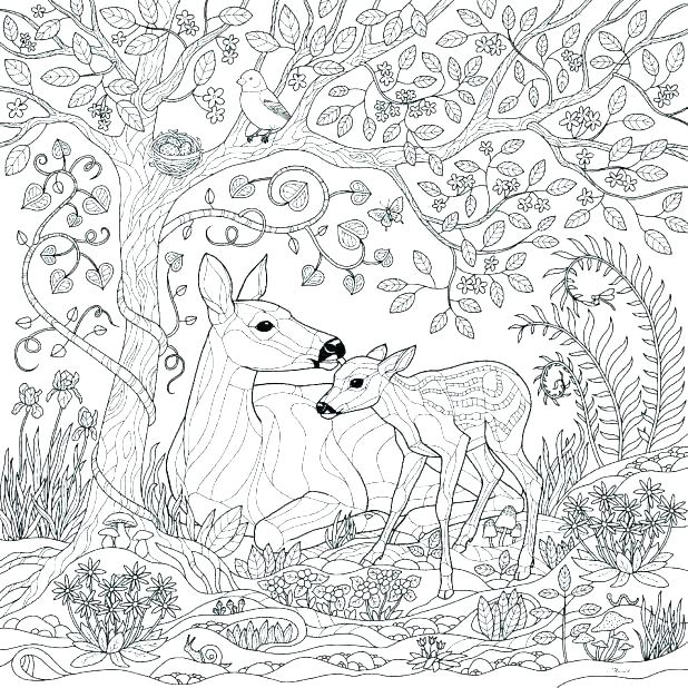 Forest Habitat Coloring Pages at Free printable