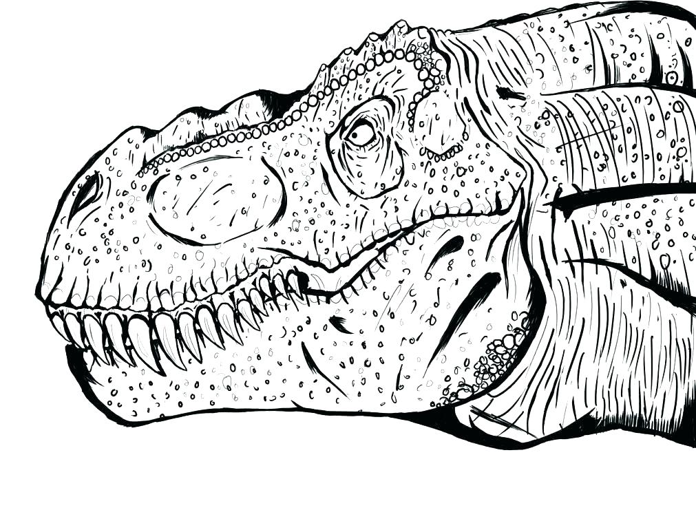 fossil-coloring-pages-at-getcolorings-free-printable-colorings-pages-to-print-and-color