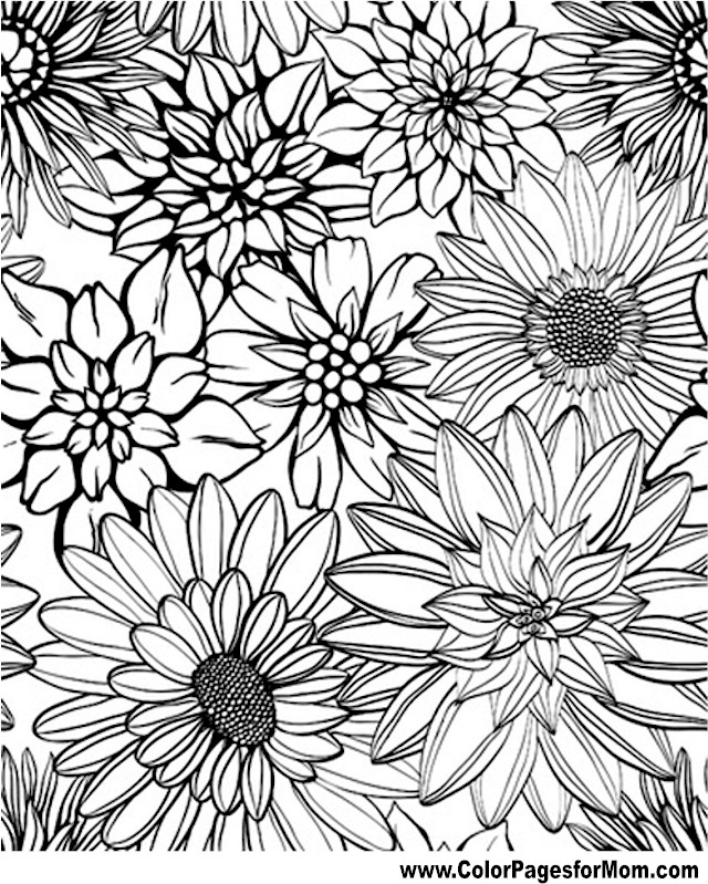 640x799 Marvelous Free Coloring Pages Flowers At Best All Tips