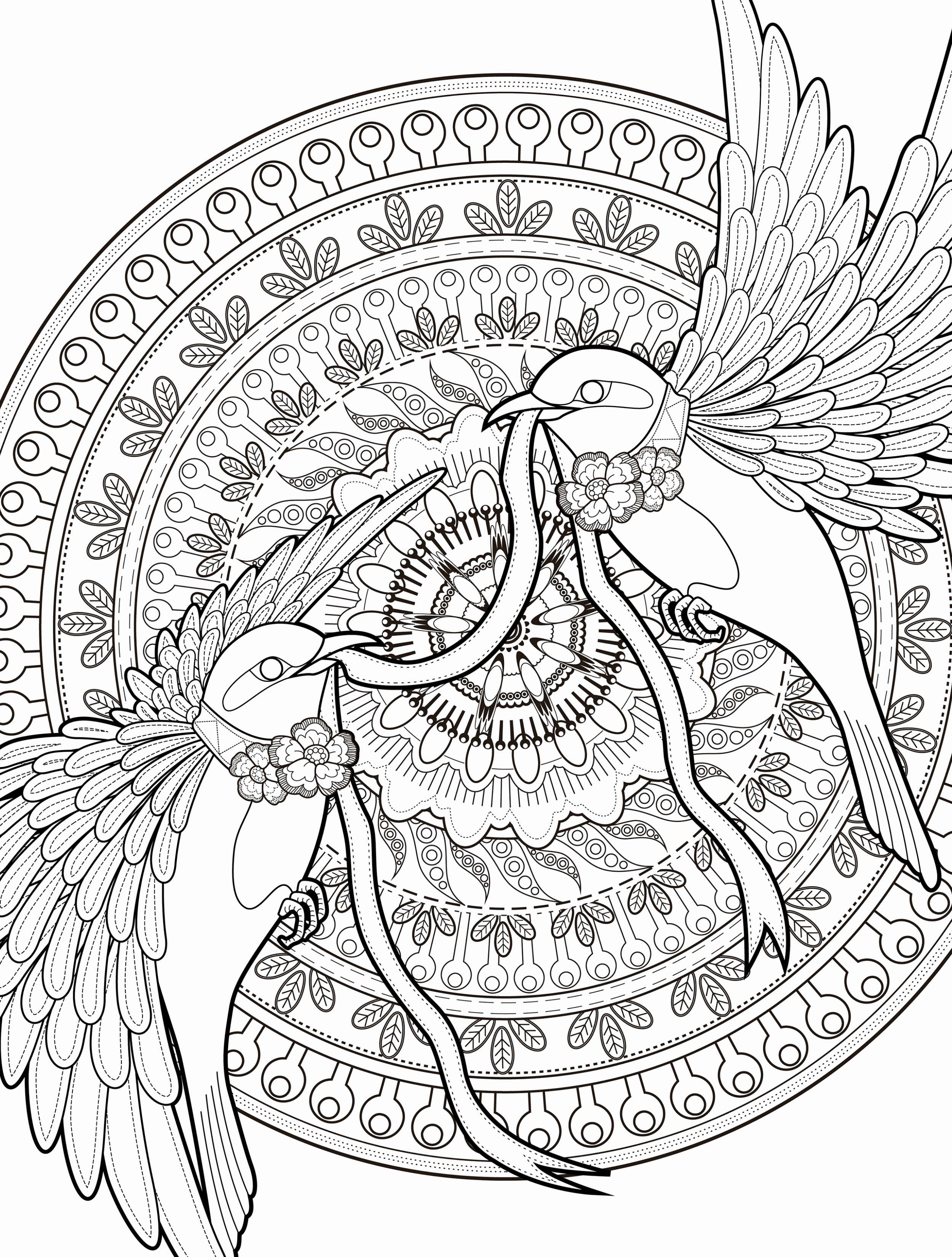Free Adult Coloring Pages Pdf At GetColorings Free Printable Colorings Pages To Print And