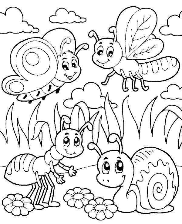 free-bug-coloring-pages-at-getcolorings-free-printable-colorings