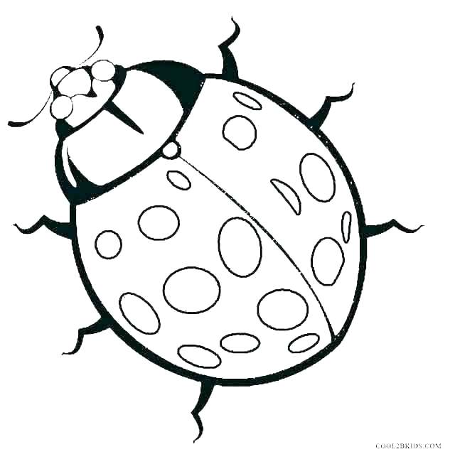 640x646 Love Bug Coloring Pages