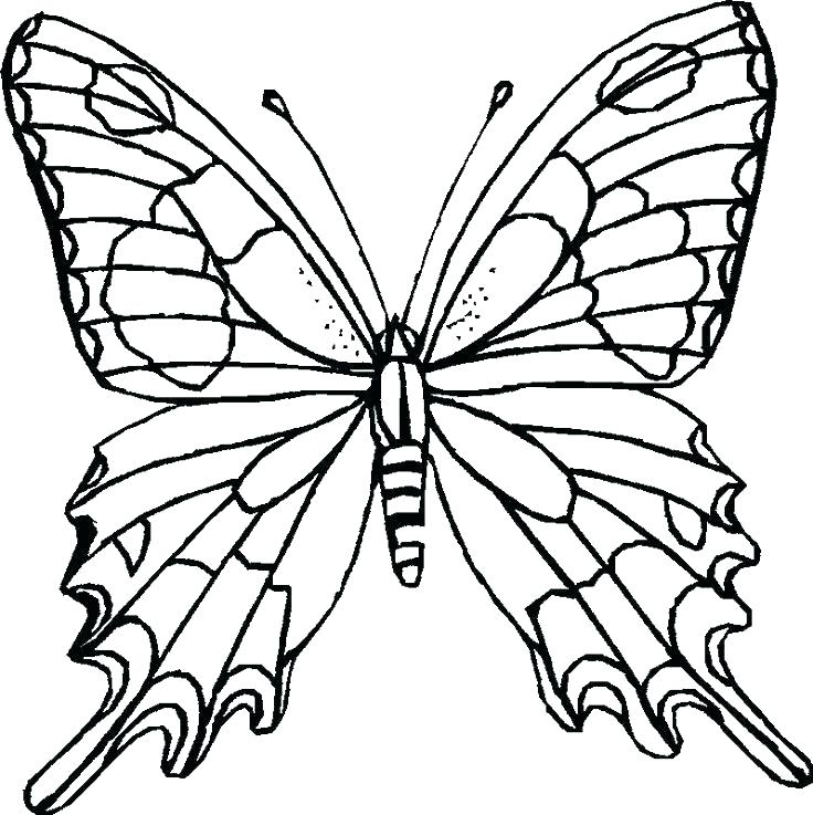 Free Coloring Pages Flowers And Butterflies at GetColorings.com | Free