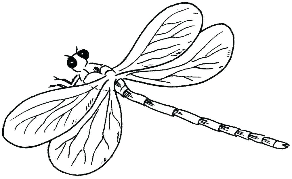Free Dragonfly Coloring Pages at GetColorings.com | Free printable