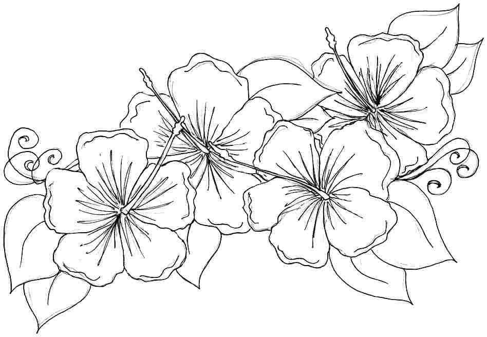 948x656 Exotic Flower Coloring Pages