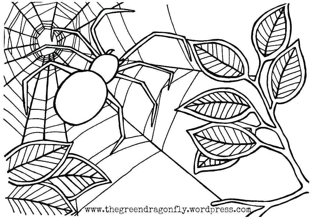 Free Halloween Spider Coloring Pages at GetColorings.com | Free