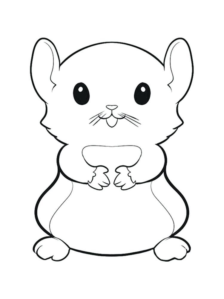 Free Hamster Coloring Pages at GetColorings.com | Free printable