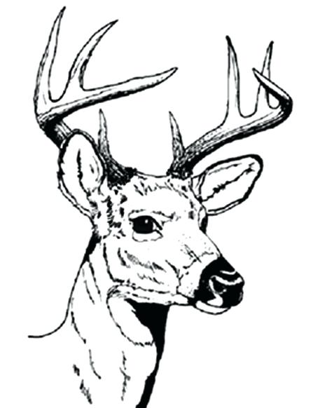 Free Hunting Coloring Pages at GetColorings.com | Free printable