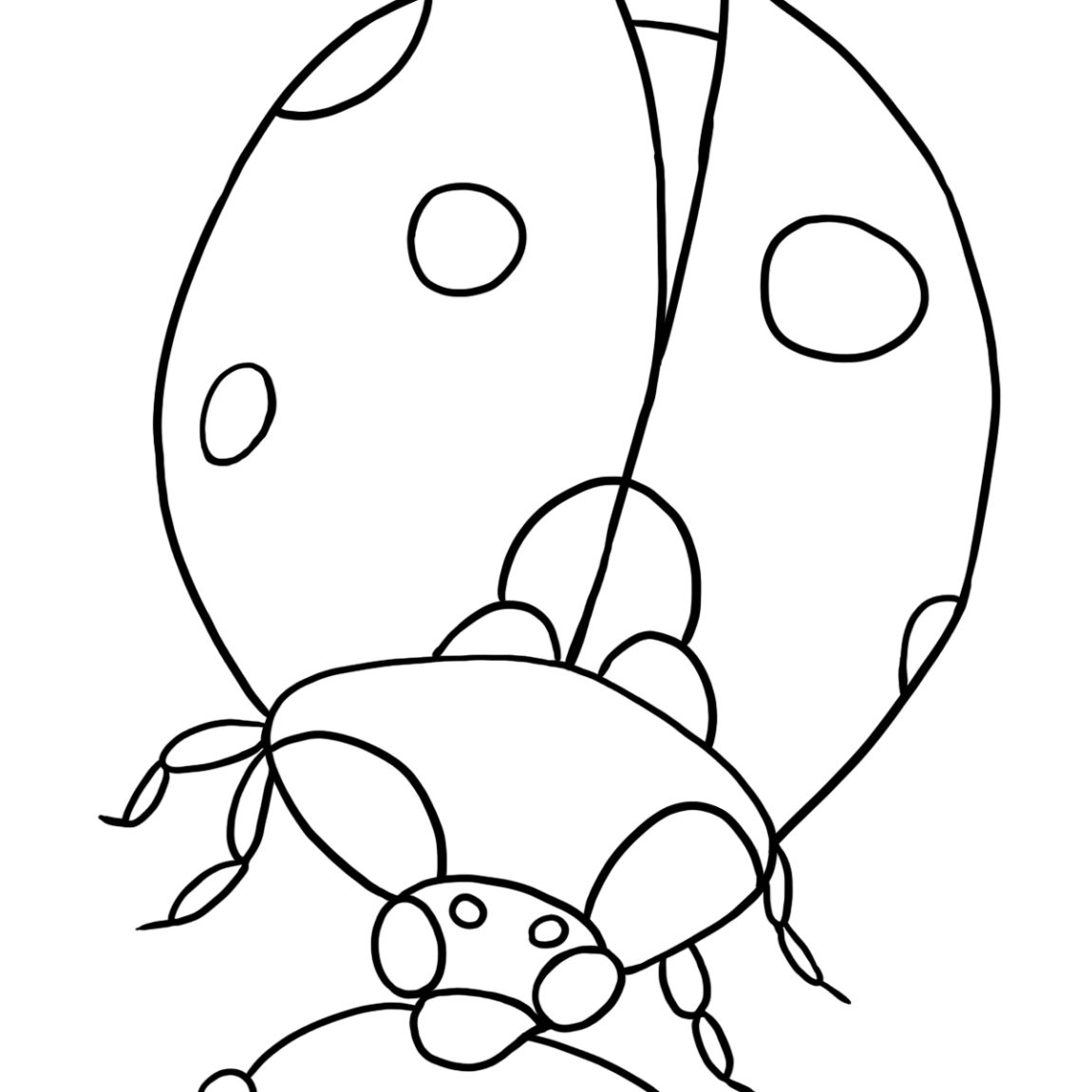 Free Ladybug Coloring Pages at GetColoringscom Free
