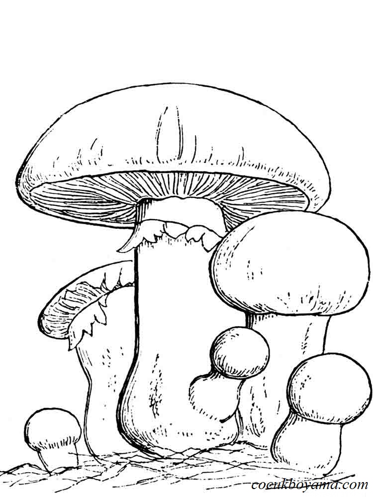 Free Mushroom Coloring Pages at GetColorings.com | Free printable