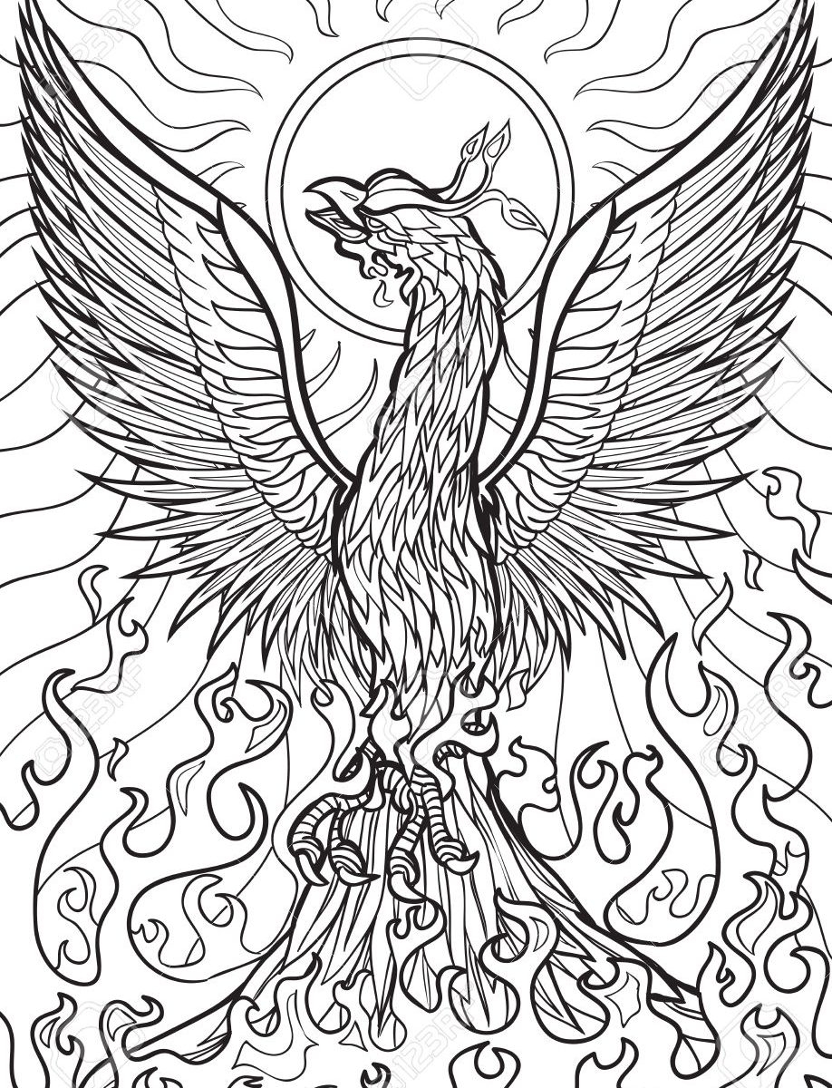 Free Printable Coloring Pages For Adults Animals at GetColorings.com