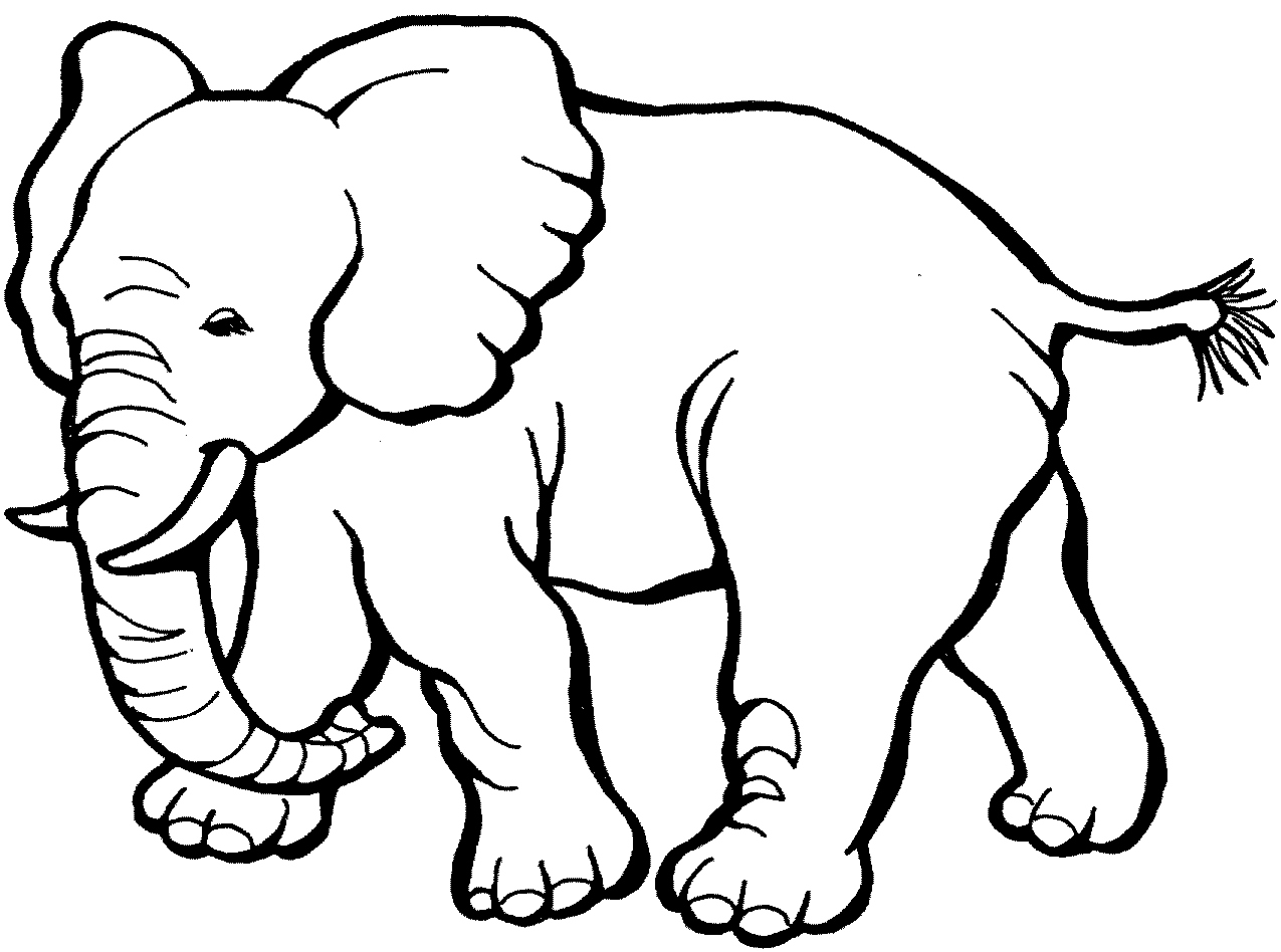 1275x948 Elephant Coloring Pages Fresh Free Printable