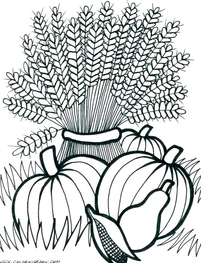 Free Printable Fall Harvest Coloring Pages At Free