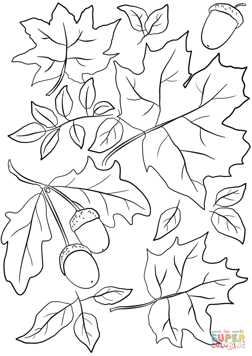 free printable fall leaves coloring pages at getcolorings
