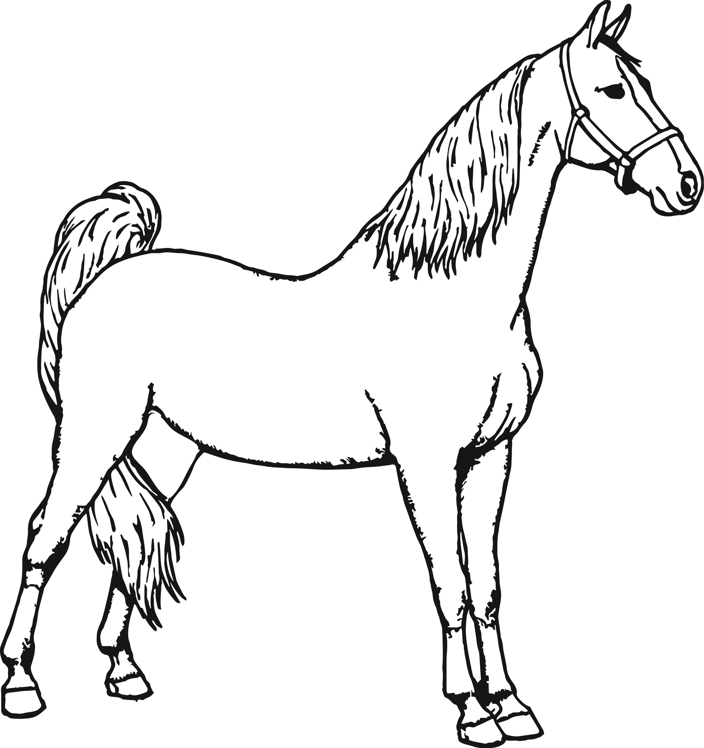 Coloring books with horses download sketchup pro 2016 64 bit