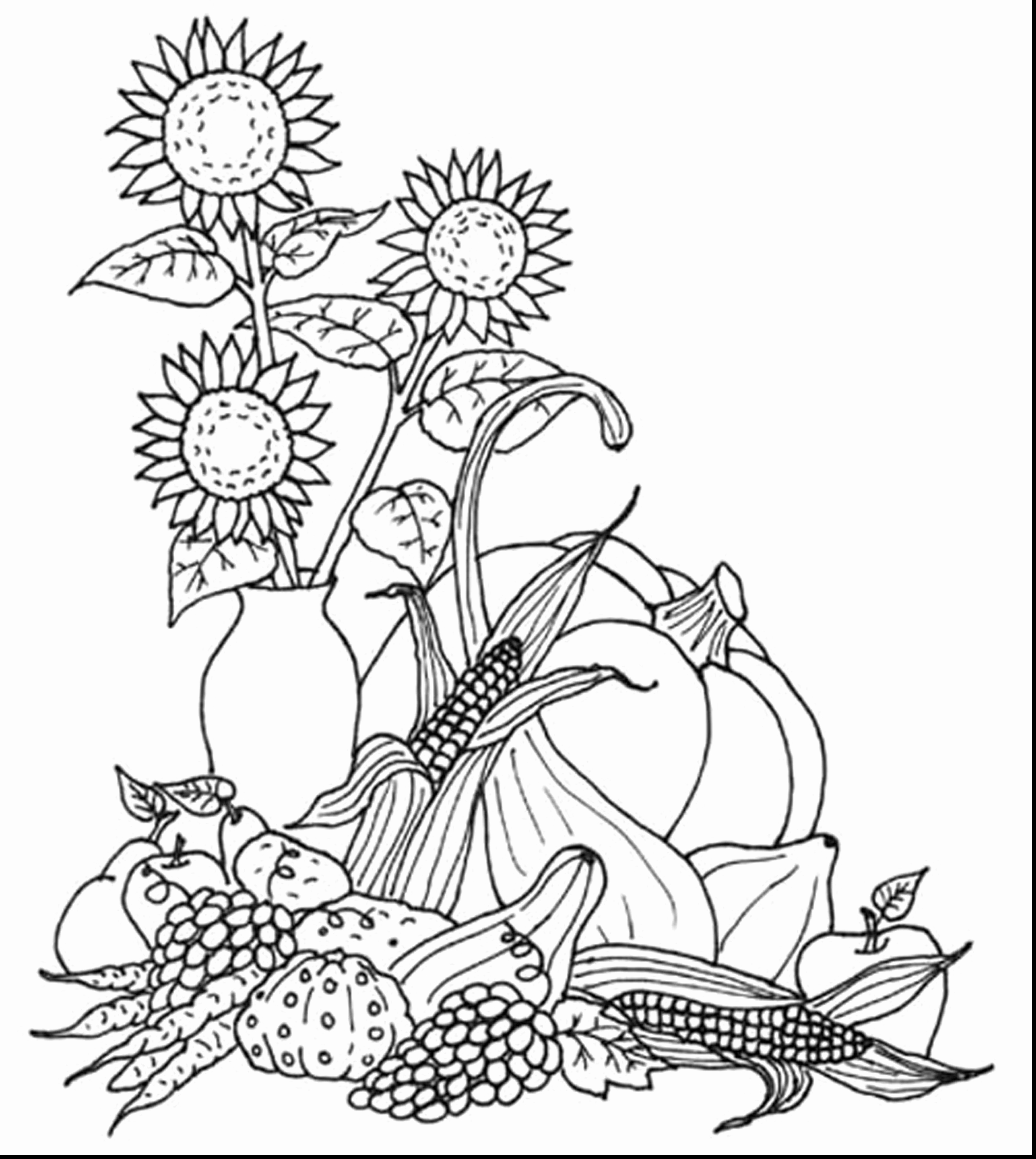 Free Printable Landscape Coloring Pages For Adults At GetColorings 