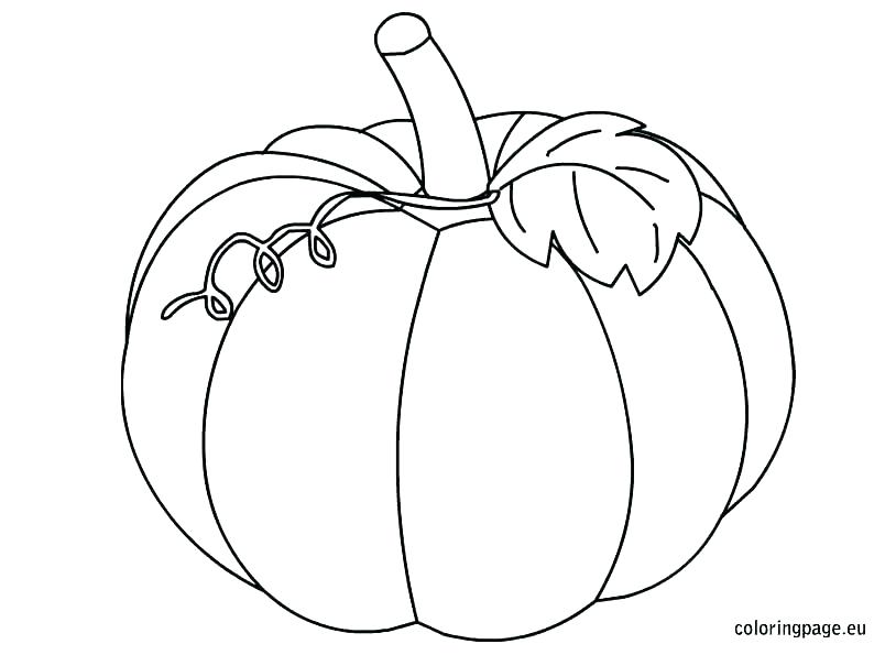 804x595 Printable Pumpkin Coloring Pages For Kids