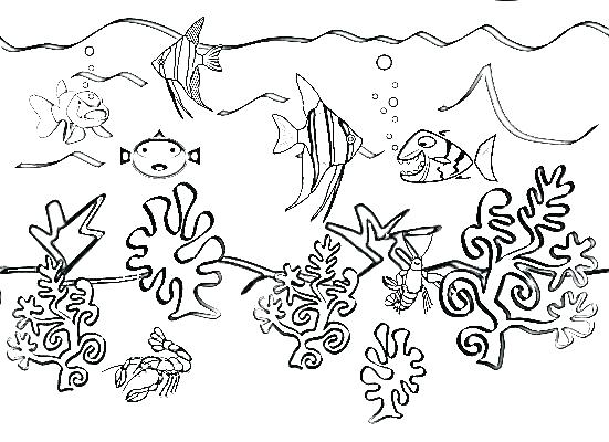free-printable-sea-life-coloring-pages-at-getcolorings-free