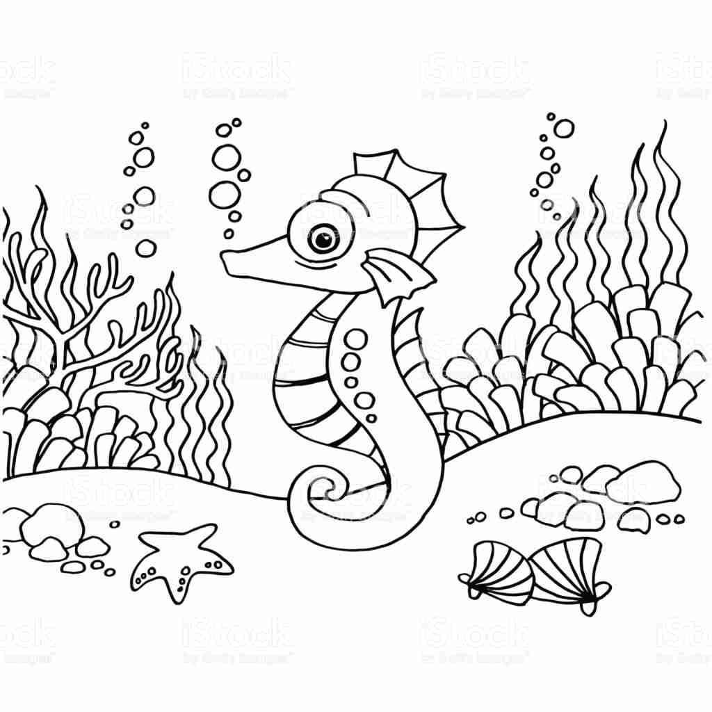 Free Printable Seahorse Coloring Pages at GetColorings.com | Free