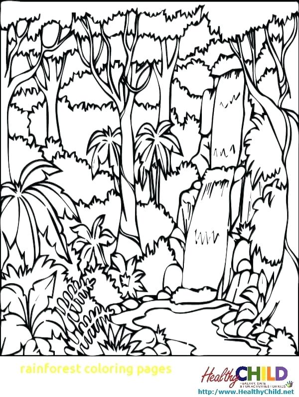 Free Rainforest Coloring Pages At GetColorings Free Printable Colorings Pages To Print And