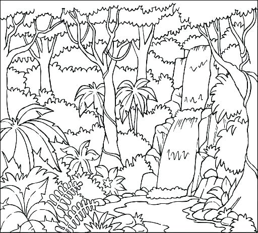 Free Rainforest Coloring Pages at Free printable