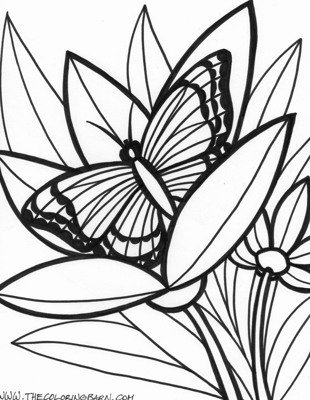 free-rainforest-coloring-pages-at-getcolorings-free-printable-colorings-pages-to-print-and
