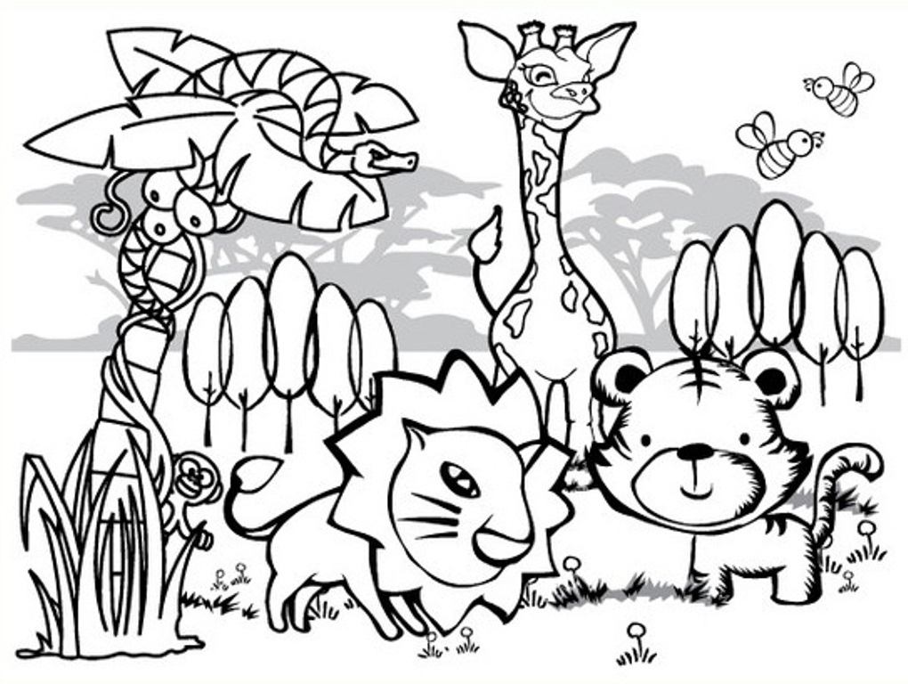 1020x768 Free Coloring Pages Endangered Animals Rainforest