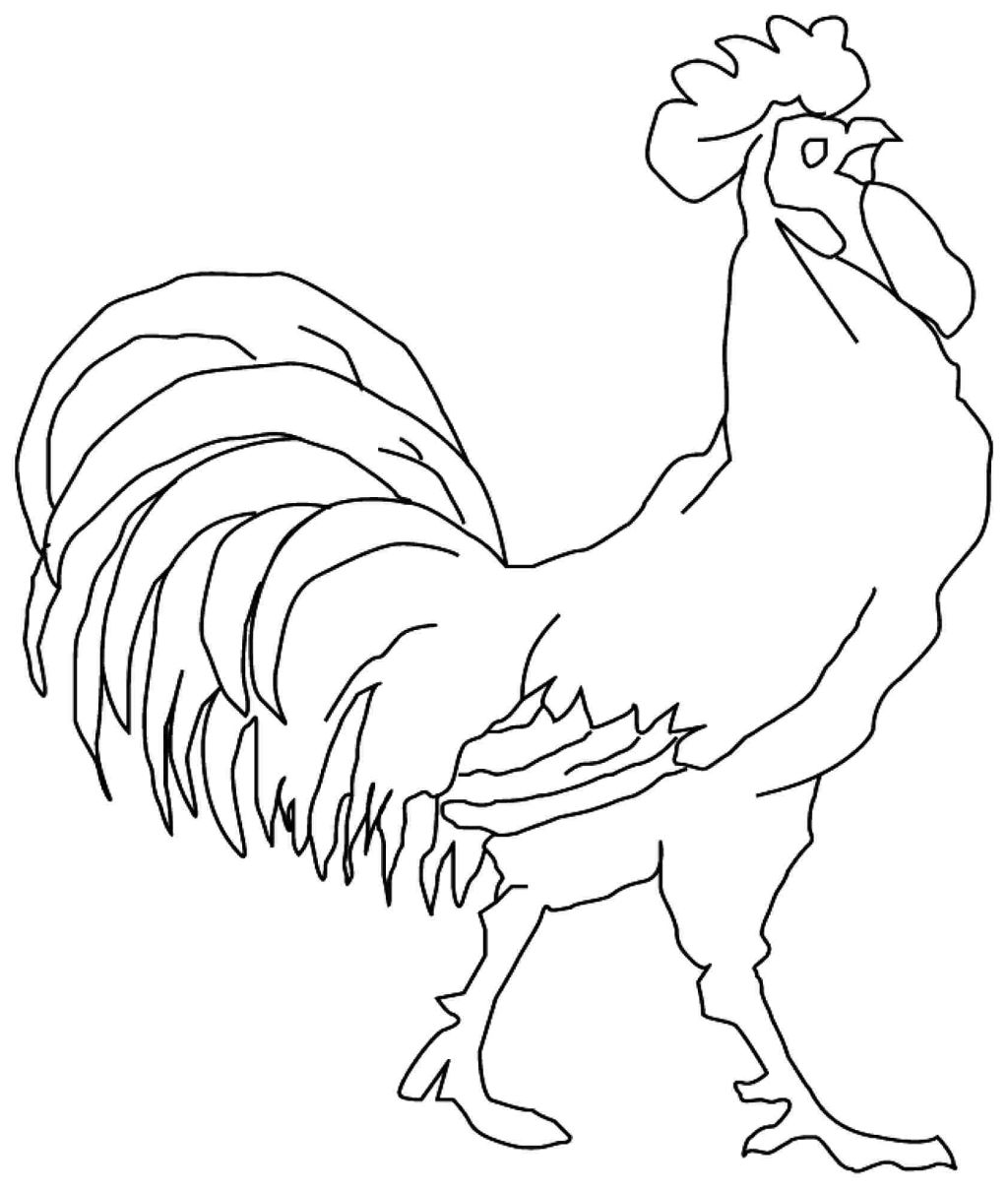 free-rooster-coloring-pages-at-getcolorings-free-printable-colorings-pages-to-print-and-color