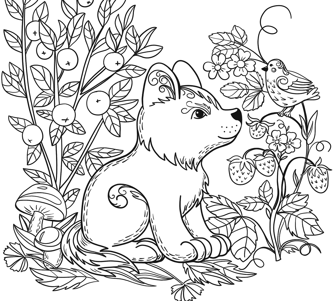 Free Wild Animal Coloring Pages at GetColorings.com  Free printable colorings pages to print