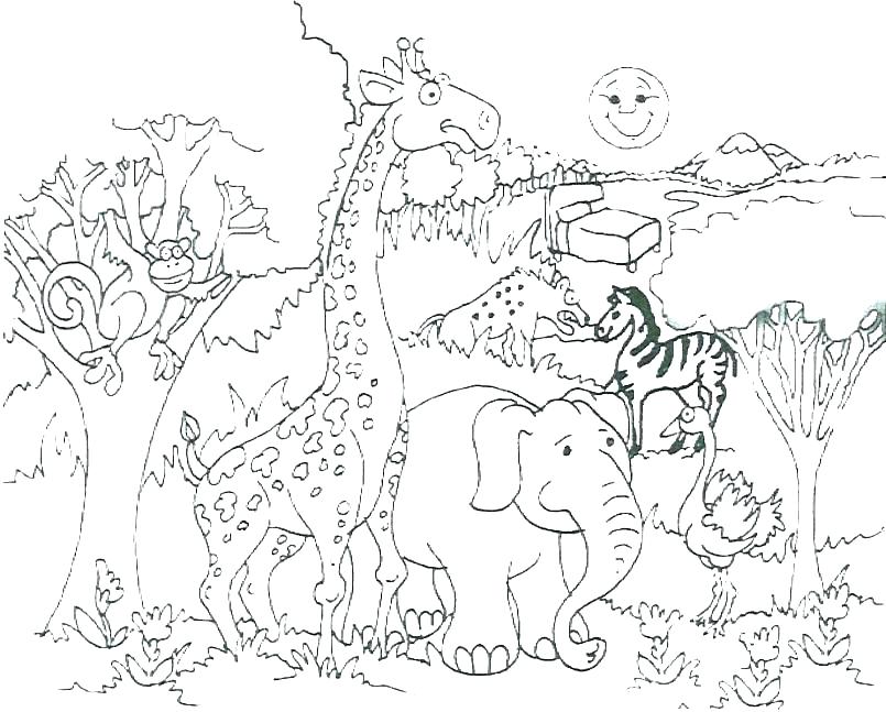 Free Wild Animal Coloring Pages at GetColorings.com | Free printable